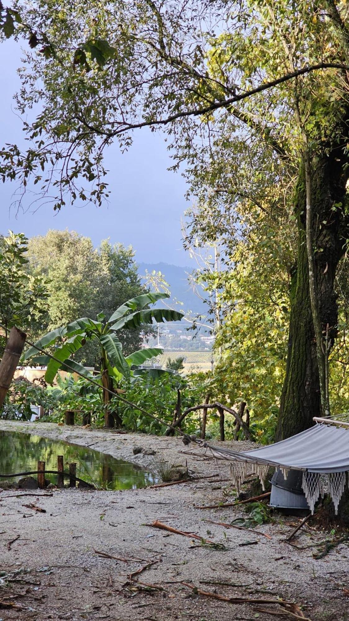 Hotel Quinta Miminel Rabuide Exterior foto